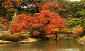 Vườn Rikugien điểm ngắm mùa thu ở Tokyo